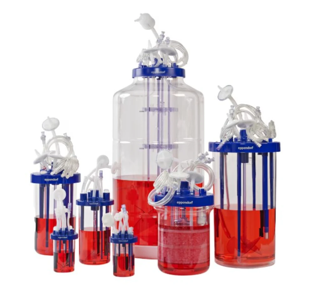 Vasos de un solo uso BioBLU